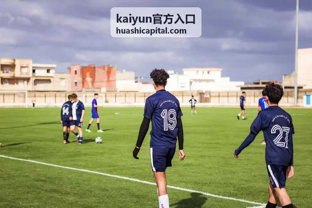 kaiyun官方入口环境适配与下载示意图